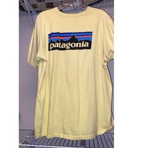 Patagonia t-shirt